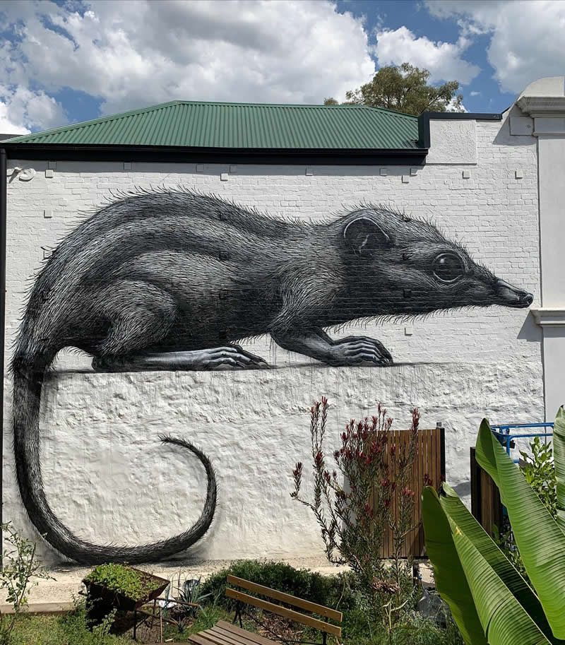 Art from ROA in Melbourne, Australia