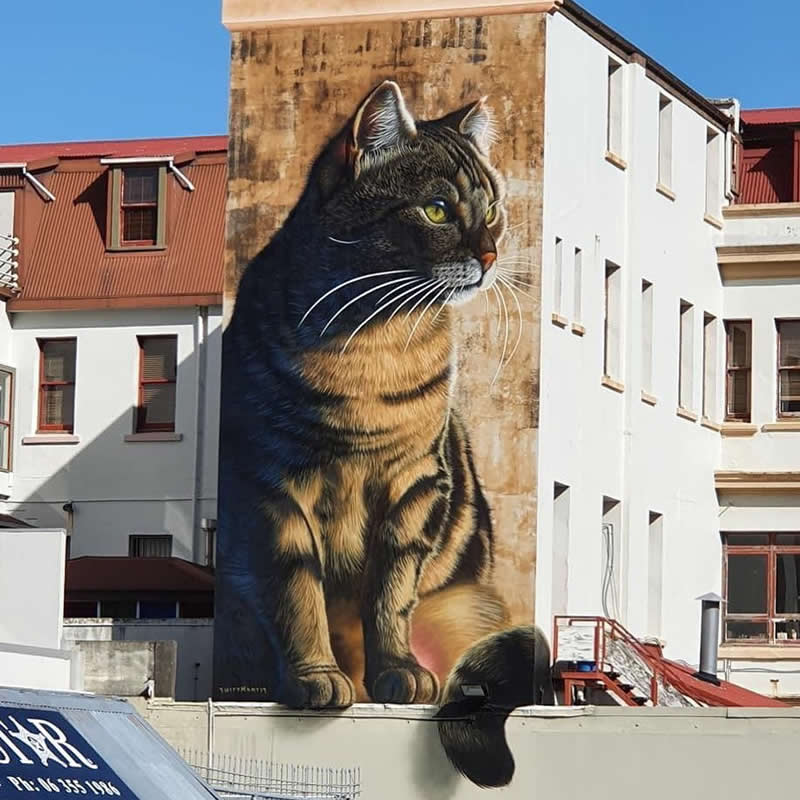 Art from SwiftMantis in Palmerston North, New Zealand