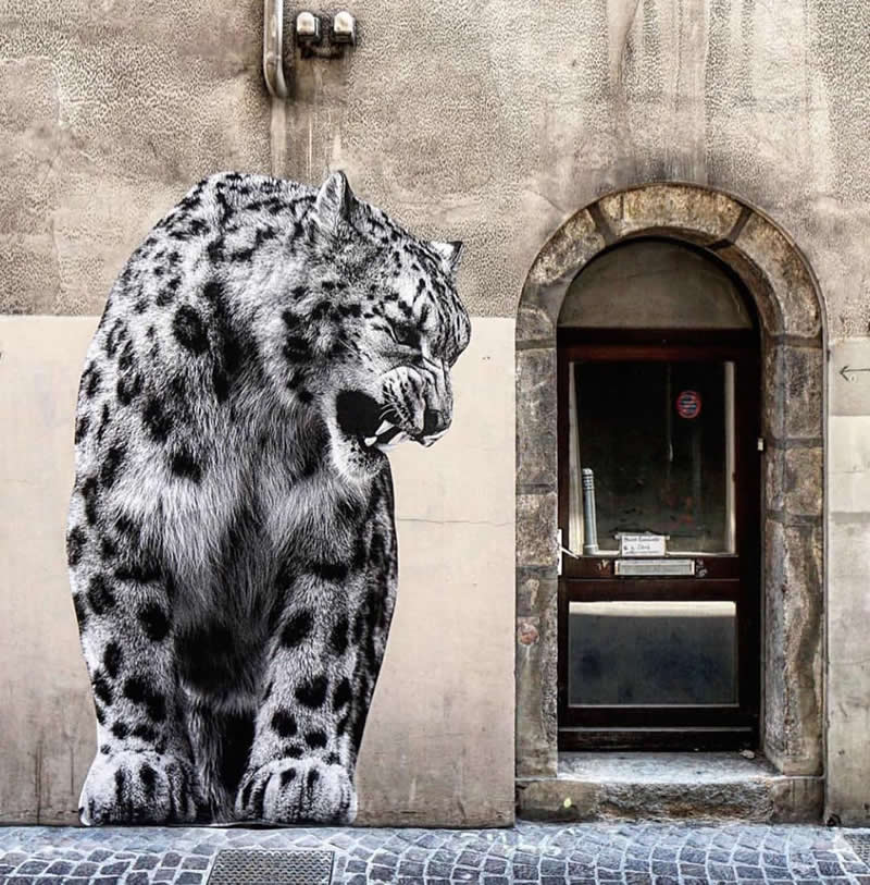 Art from @sophie.photographe in Grenoble, France