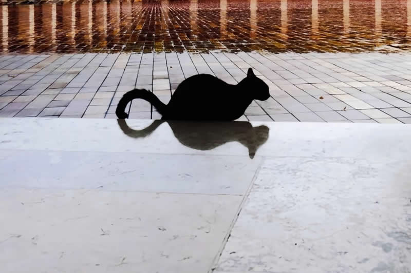 Street Photography by Christianto Kumoro