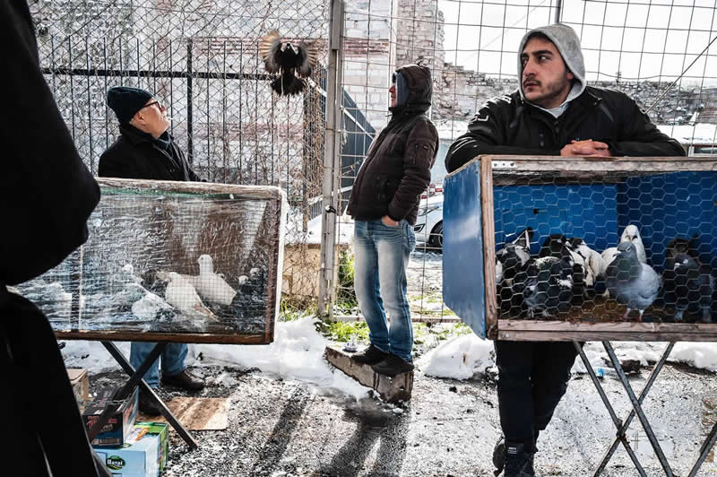 Street Photography by Stefano Mirabella