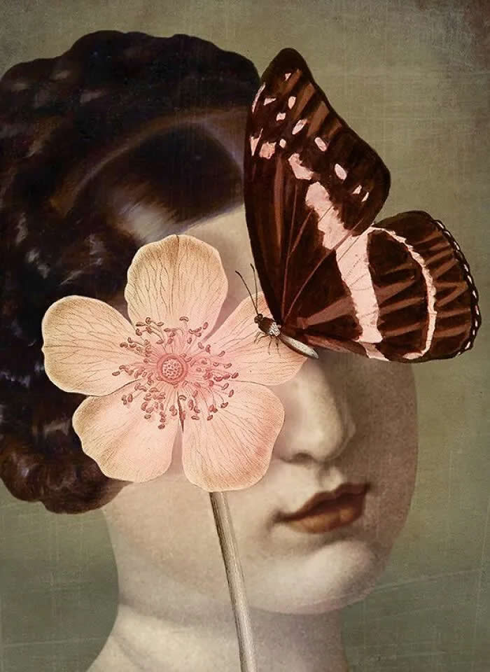 Surreal Artworks by Catrin Welz-Stein That Blur Fantasy and Reality