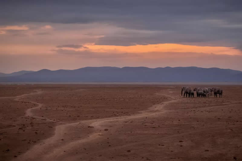 Ancient Paths by Preeti and Prashant Chacko, UAE - The Artist Gallery Awards 2026 Travel Winners
