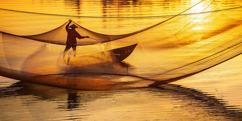 Harvesting the Dawn by Yoshiki Nakamura, USA - The Artist Gallery Awards 2026 Travel Winners