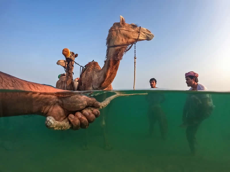 Dual Realities by Shyjith kannur - Urban Photo Awards 2026 People Fianlists