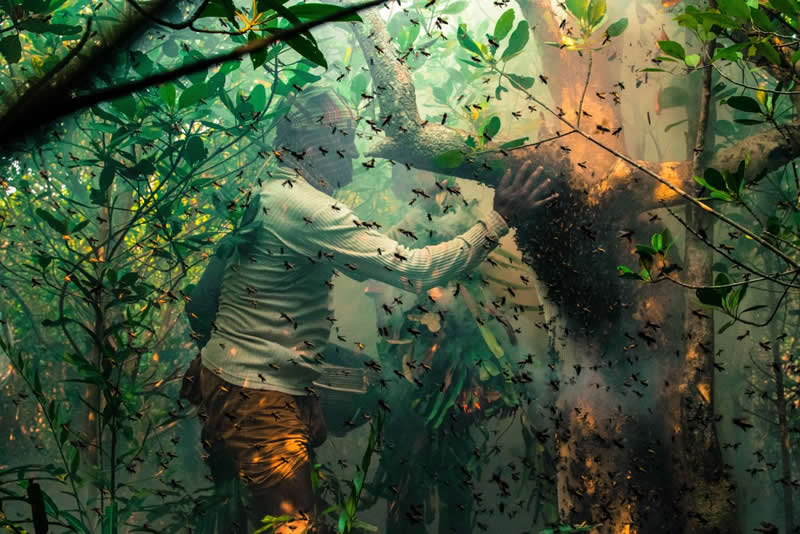 Honey Hunters of Sundarbans by Muhammad mostafigur rahman - Urban Photo Awards 2026 People Fianlists