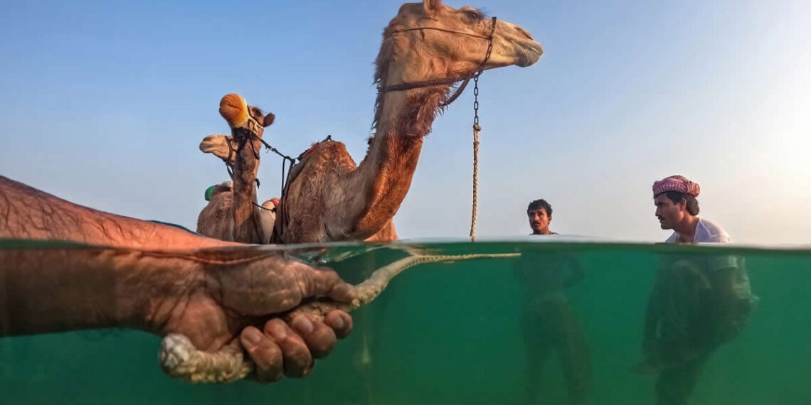 Urban Photo Awards 2026 People Finalists