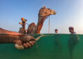 Urban Photo Awards 2026 People Finalists