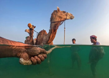 Urban Photo Awards 2026 People Finalists