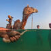 Urban Photo Awards 2026 People Finalists
