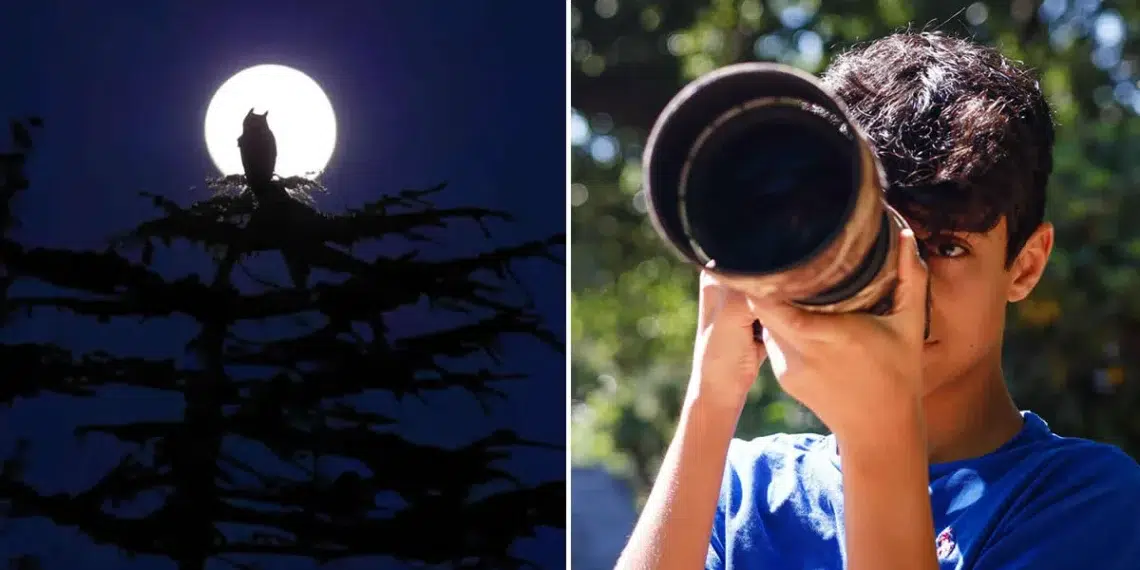 16-Year-Old Parham Pourahmad Wins Prestigious Young Bird Photographer of the Year 2026
