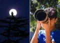 16-Year-Old Parham Pourahmad Wins Prestigious Young Bird Photographer of the Year 2026