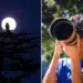 16-Year-Old Parham Pourahmad Wins Prestigious Young Bird Photographer of the Year 2026
