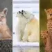 12Awards Photography Competition Nature Wildlife Winners