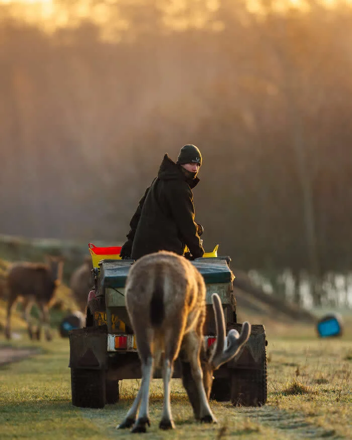 Human - Winner: Early Rounds By Gareth Clifford - 2026 BIAZA Photo Competition Winners