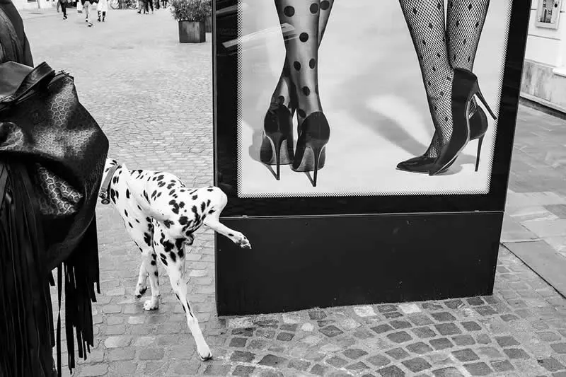 Everyday Theatre by Marco Parenti (Italy) - AAP Magazine Awards 2026 Street Winners