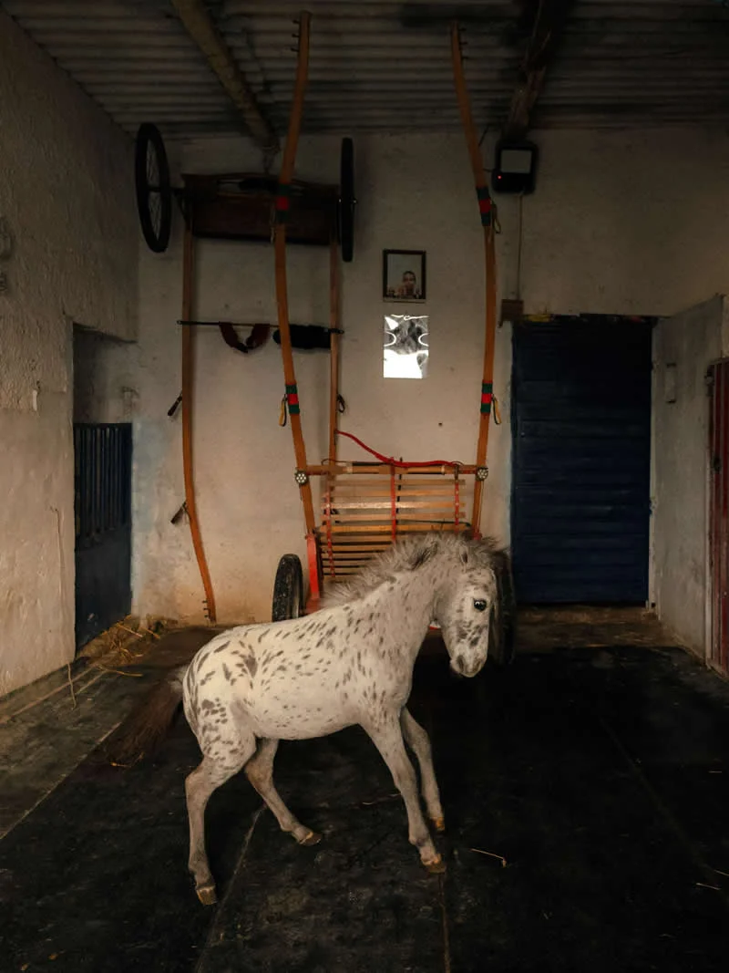 Discovery of the Year: Before The City Wakes by Giuseppe Scianna, Italy - Analog Sparks 2026 Winners