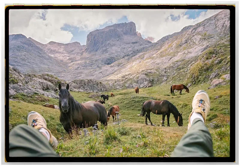 Life Style - 1st Place Winner: Between Hooves and Horizons by Wes Colvin, France - Analog Sparks 2026 Winners