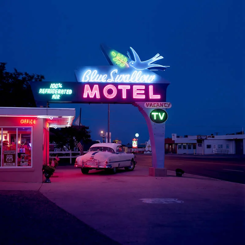 Life Style - Bronze: Blue Swallow by William Mark Sommer, United States - Analog Sparks 2026 Winners