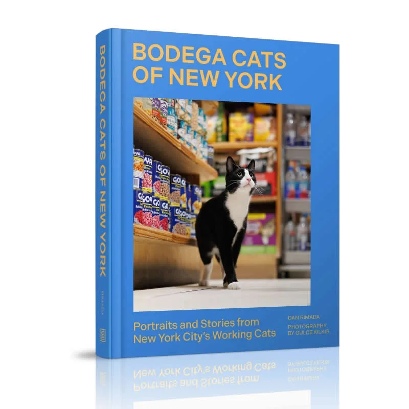 Secret Lives of New York City&rsquo;s Beloved Bodega Cats