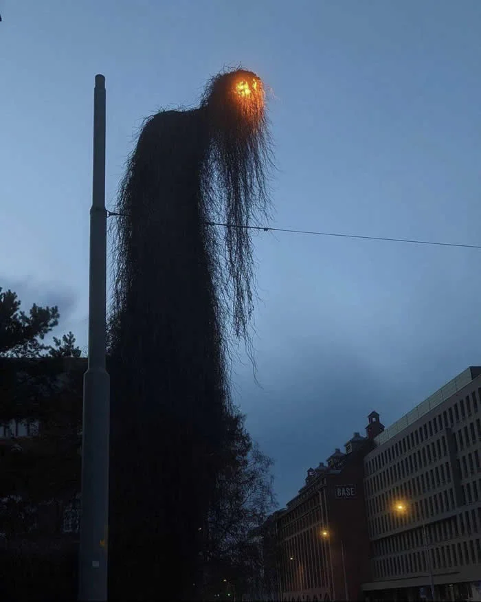 Look Twice! 40 Confusing Perspective Photos That Will Trick Your Eyes 54 A shrouded streetlight - Confusing Perspective Photos