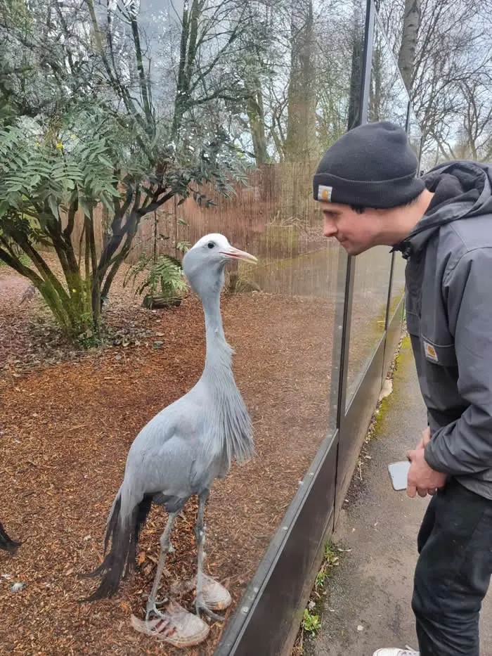 Look Twice! 40 Confusing Perspective Photos That Will Trick Your Eyes 61 This Crane looks like its wearing my sneakers - Confusing Perspective Photos