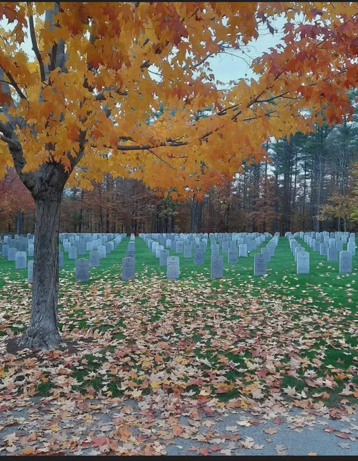 Look Twice! 40 Confusing Perspective Photos That Will Trick Your Eyes 62 This photo of cemetery looks like 2 photo put together - Confusing Perspective Photos
