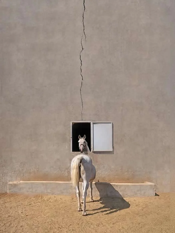 Look Twice! 40 Confusing Perspective Photos That Will Trick Your Eyes 78 A Horse Split - Confusing Perspective Photos