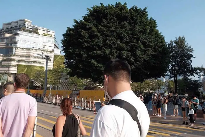 Look Twice! 40 Confusing Perspective Photos That Will Trick Your Eyes 80 Tree makes it look like the guy has an afro - Confusing Perspective Photos