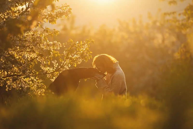 1st Place, Dogs & People: Close by Sarah Ebner, Switzerland - Dog Photographer of the Year 2026 Winners