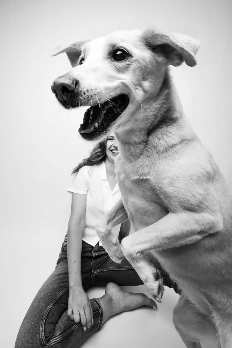 2nd Place, Dogs & People: Nika & Sherry by Eco Lorka, Spain - Dog Photographer of the Year 2026 Winners