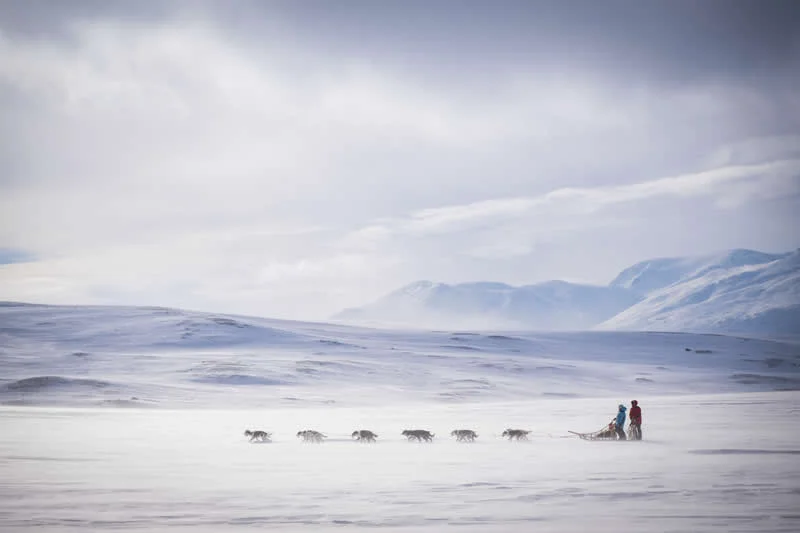 2nd Place, Documentary: On top of the world by Katie Gyltnes, Norway - Dog Photographer of the Year 2026 Winners