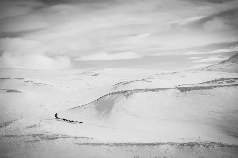 3rd Place, Documentary: Alone together by Katie Gyltnes, Norway - Dog Photographer of the Year 2026 Winners