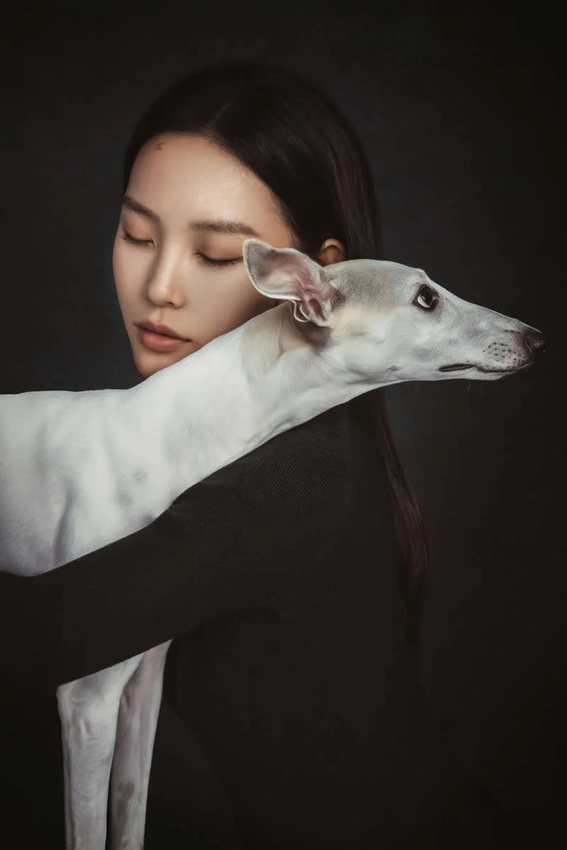 Dogs & People: Shared Stillness by Yifan He, China - Dog Photographer of the Year 2026 Winners