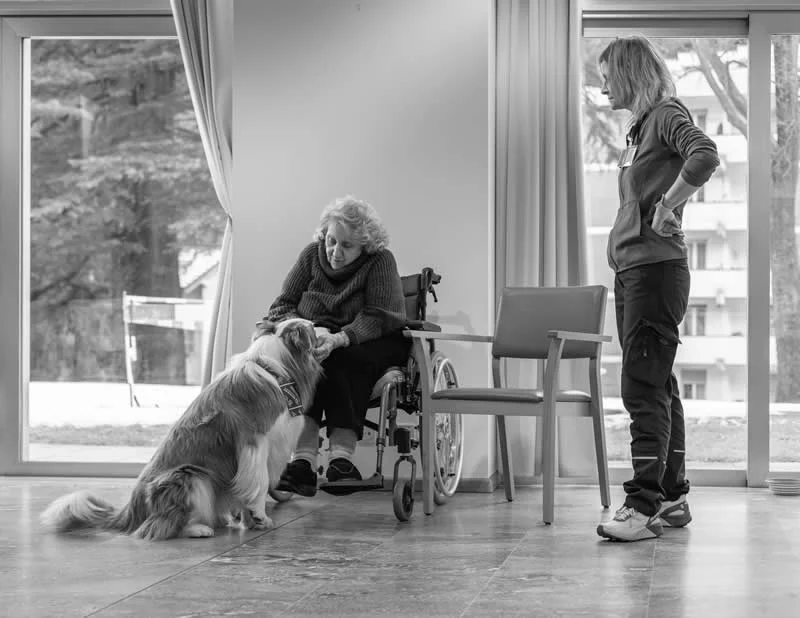 Documentary: Therapy dogs in a nursing home by Jessica Mozzetti, Switzerland - Dog Photographer of the Year 2026 Winners