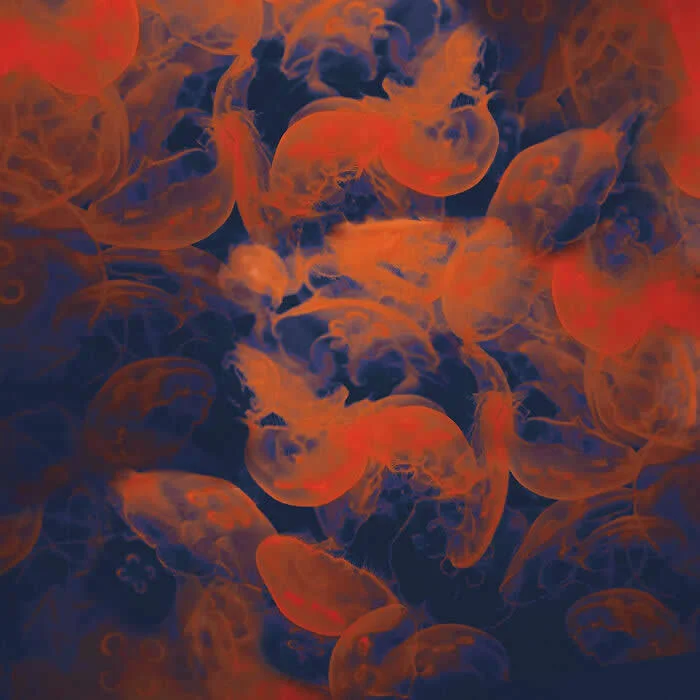 Where Photography Meets Painting: 33 Dreamlike Artworks by Nadia Attura 52 Photography Meets Painting Dreamlike Artworks by Nadia Attura