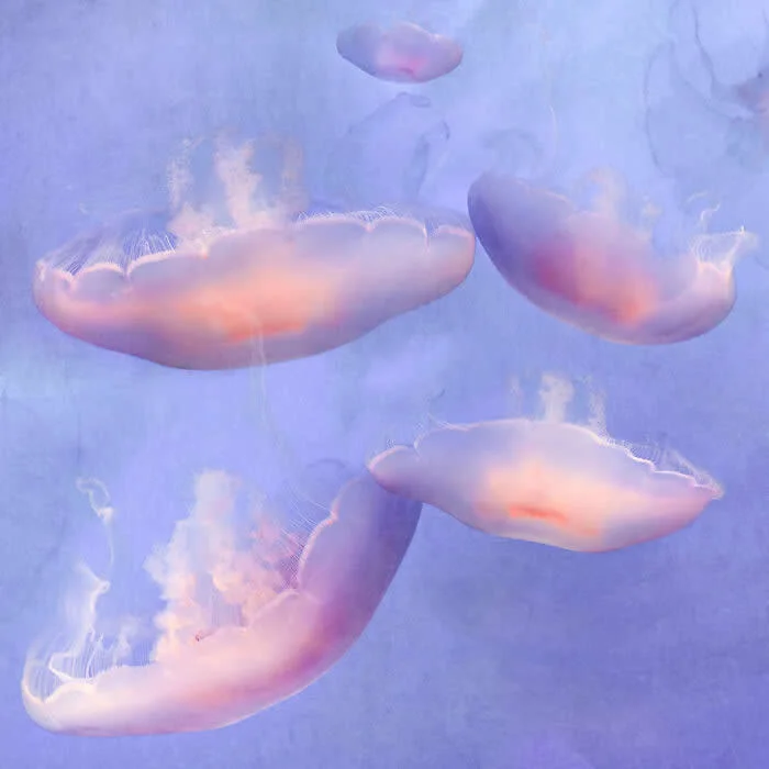 Where Photography Meets Painting: 33 Dreamlike Artworks by Nadia Attura 60 Photography Meets Painting Dreamlike Artworks by Nadia Attura
