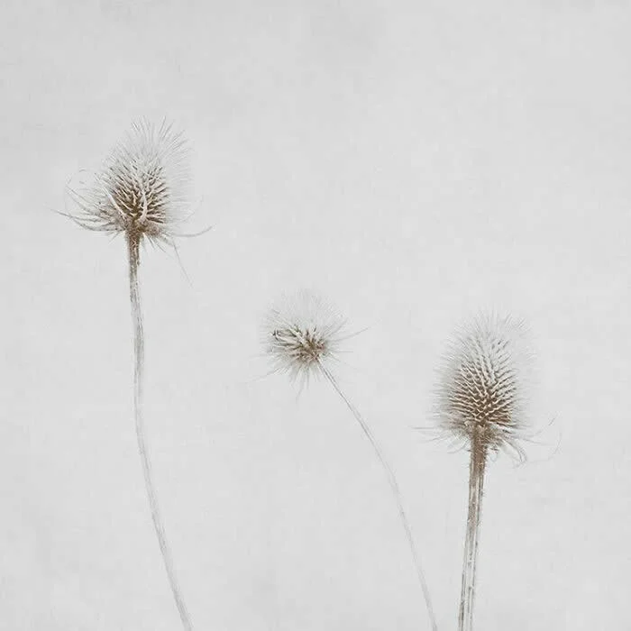 Where Photography Meets Painting: 33 Dreamlike Artworks by Nadia Attura 64 Photography Meets Painting Dreamlike Artworks by Nadia Attura