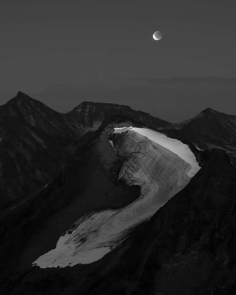 Runner up: Umbra by Orsolya Haarberg (NO) - GDT European Wildlife Photography Awards 2026