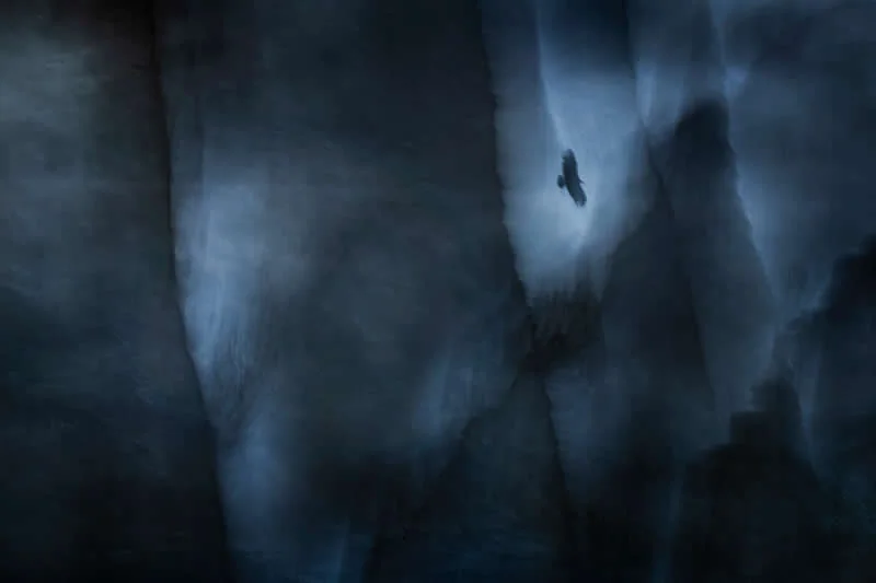 Winner: Between the mountains by Hermann Hirsch und Jan Le&szlig;mann (DE) - GDT European Wildlife Photography Awards 2026