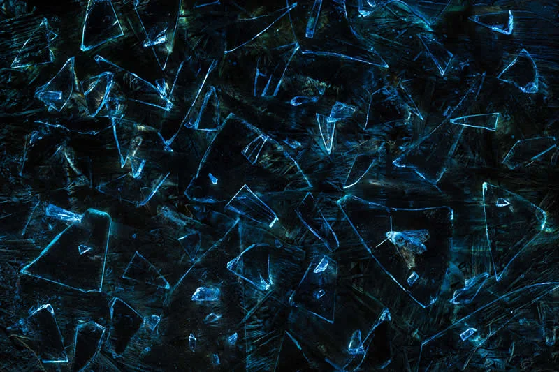 Runner up: Sea of broken glass by Florian Lottersberger (AT) - GDT European Wildlife Photography Awards 2026