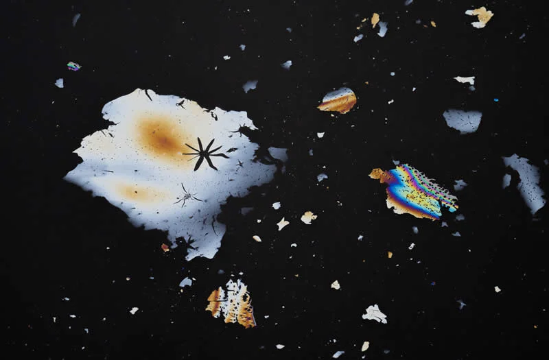Honorable Mention: Modern art in nature by Henrik Schultz (FI) - GDT European Wildlife Photography Awards 2026