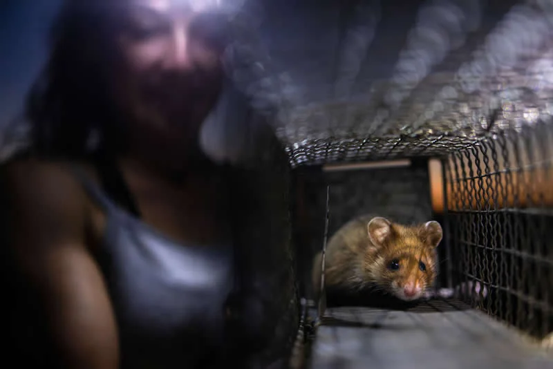 Runner Up: Managed revival by Christoph Kaula (DE) - GDT European Wildlife Photography Awards 2026