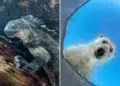 GDT European Wildlife Photography Awards 2026