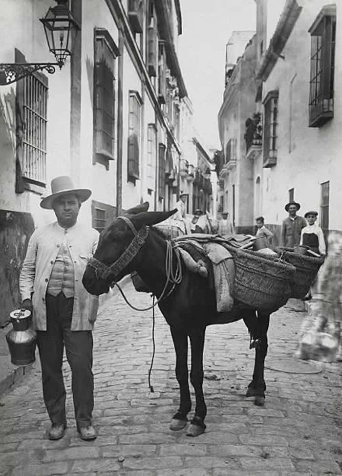 Spanish milk man posing with his donkey in the streets of Seville, Spain 1910