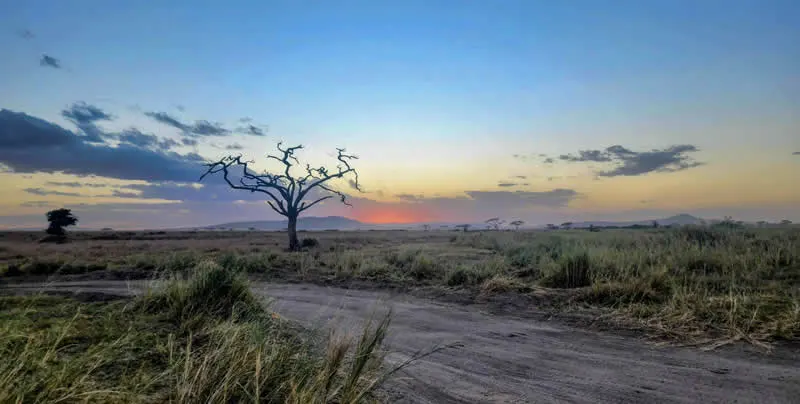 Gurushots Travel Wonders Winners Photo Challenge