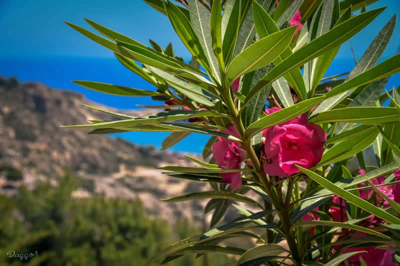 Gurushots Travel Wonders Winners Photo Challenge