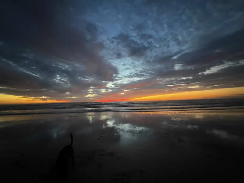 Gurushots Travel Wonders Winners Photo Challenge