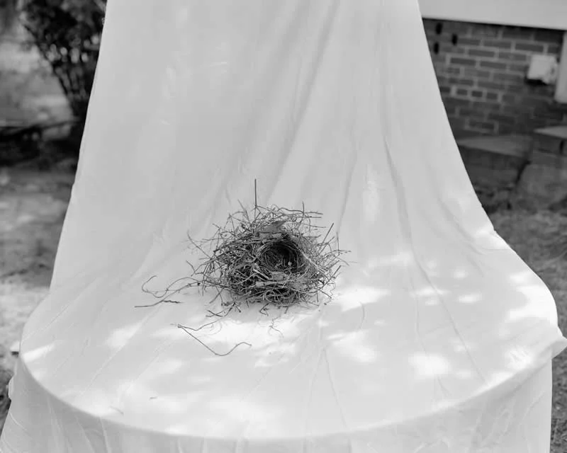 Finalist: South of Heaven by Aaron Canipe - LensCulture Photobook Prize 2026 Winners