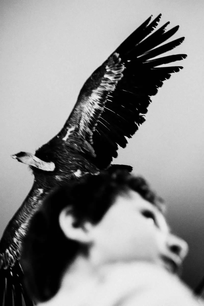 Finalist: Son by Blagovesta Semkova - LensCulture Photobook Prize 2026 Winners